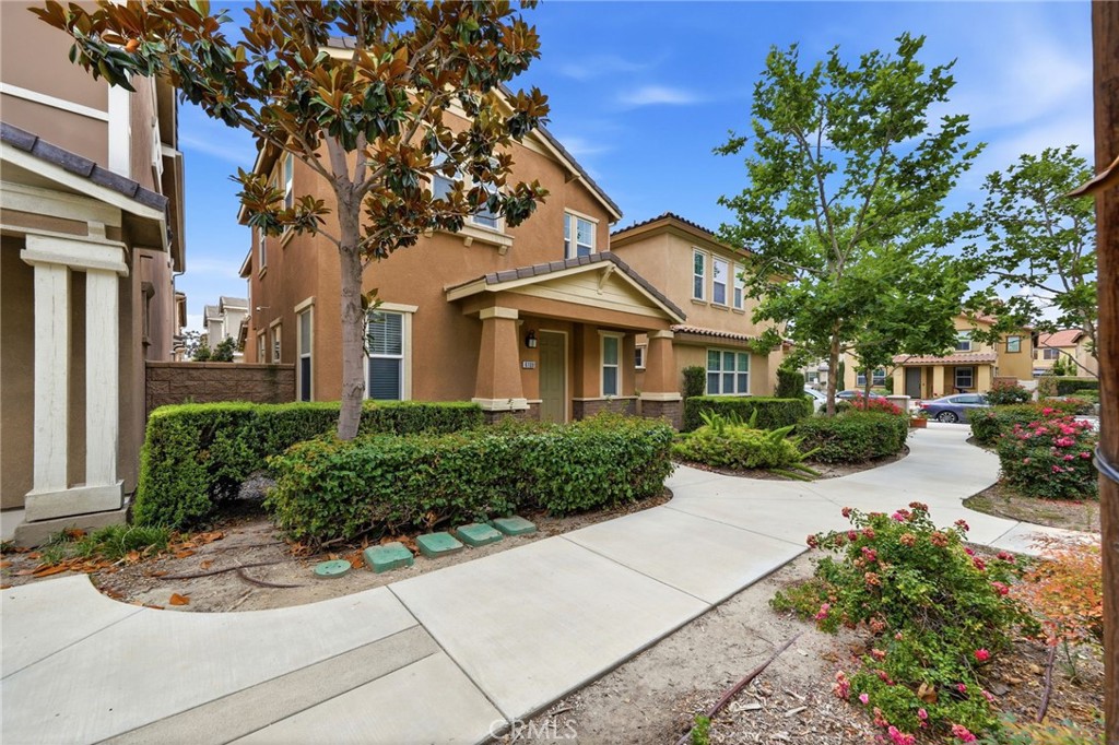 6108 Rosewood