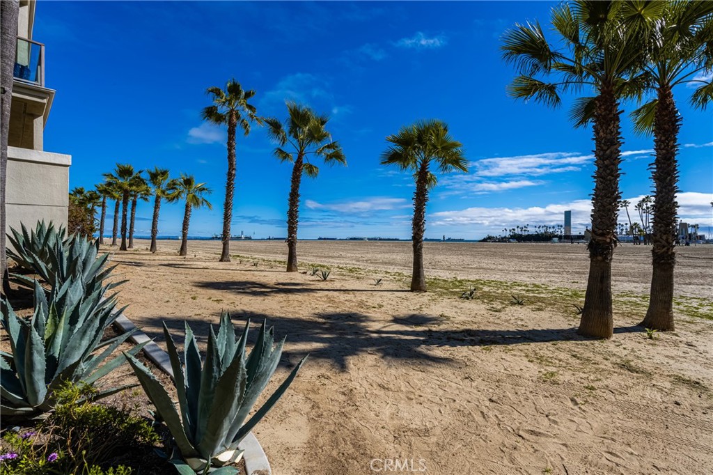 Alamitos Beach (AB) - Residential