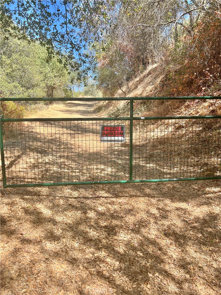 29012 Cassandra Road