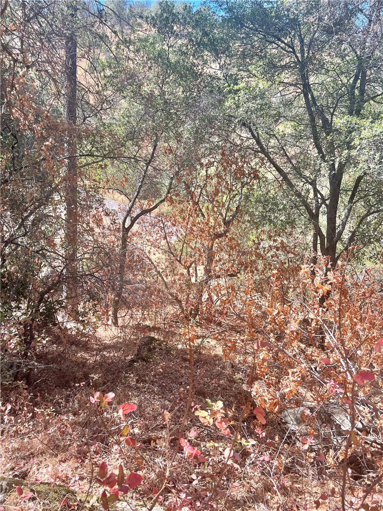 29012 Cassandra Road