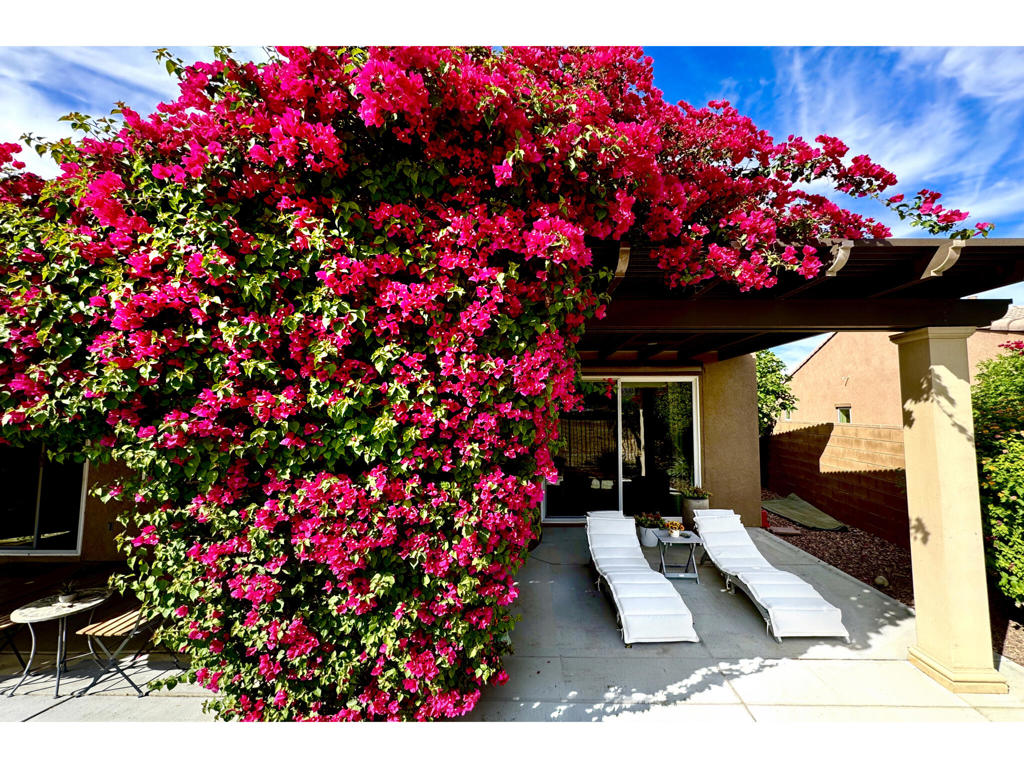 43305 Arizona Street