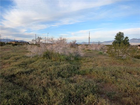 Photo of 0 Jacks Ranch Rd, Ridgecrest, CA 93555 (MLS # HD26044177)