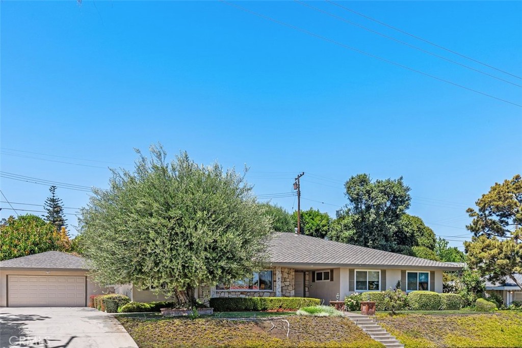 807 Dorothy Lane