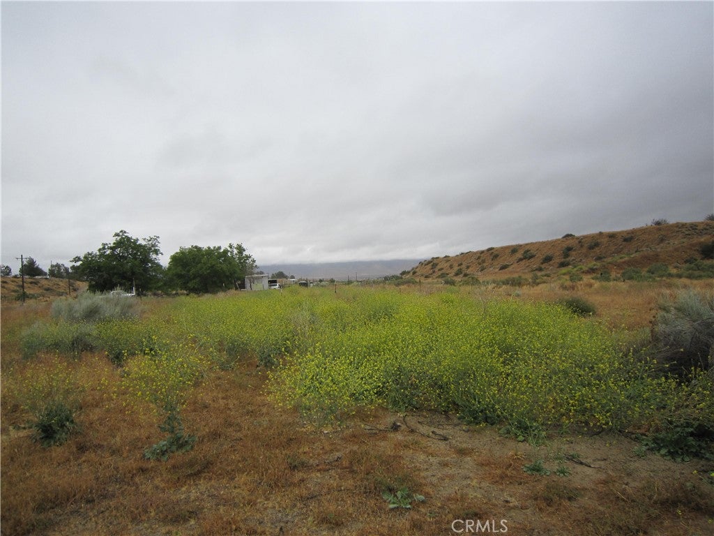 205 Castro Canyon Road