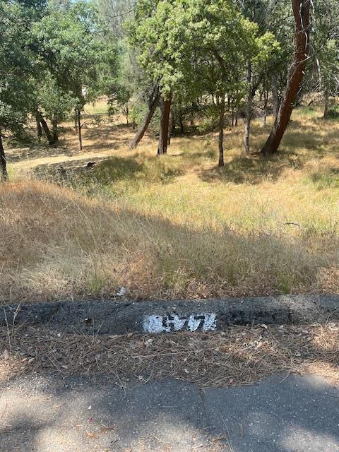 This Lot is in the Kelly Ridge Estates Development within minutes from Lake Oroville. Hwy 70 North from Hwy 99, then R-Ninth St. Left on Hwy 20and (Exit 46) Hwy 162 to Oroville Dam Blvd, R- Oroville Dam East, then R-Hwy 162, L-B2 Canyon Dr., R- Almond Ave., L-Lodgewood Drive and L- Silver Leaf Dr.