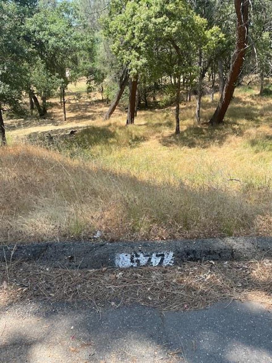 This Lot is in the Kelly Ridge Estates Development within minutes from Lake Oroville.  Hwy 70 North from Hwy 99, then R-Ninth St. Left on Hwy 20and (Exit 46) Hwy 162 to Oroville Dam Blvd, R- Oroville Dam East, then R-Hwy 162, L-B2 Canyon Dr., R- Almond Ave., L-Lodgewood Drive and L- Silver Leaf Dr.
