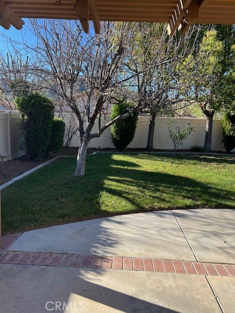 5888 Orange Tree