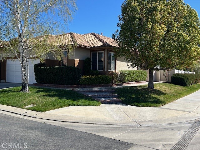 5888 Orange Tree