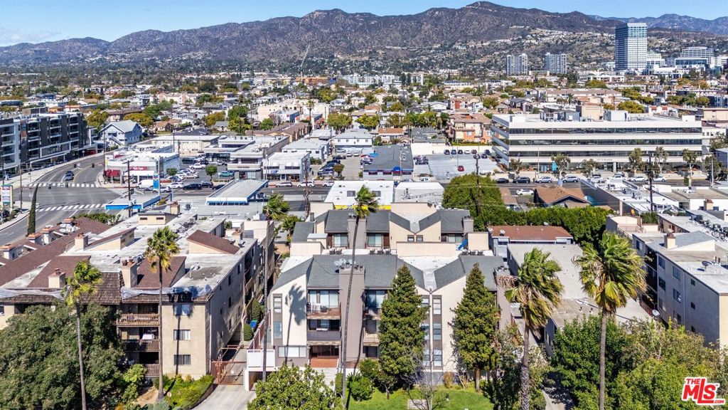 453 Ivy Street