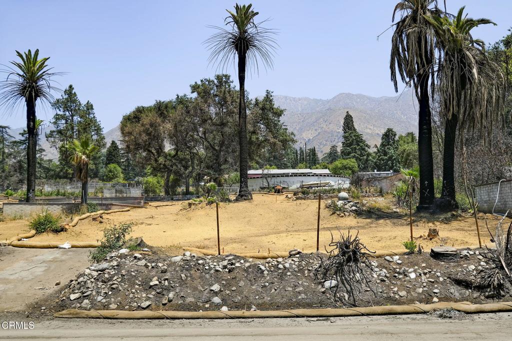 Welcome to 677 E. Palm Street - an exceptional opportunity to rebuild on an expansive parcel in the beautiful Altadena foothills. The 2,000 square foot former home was lost in the Eaton Fire, but what remains is a rare, oversized lot offering a blank canvas for your vision.Spanning over 16,900+ square feet (per assessor), this wide and deep lot presents ample space for a custom home, ADU, pool, gardens, or whatever your lifestyle and imagination call for. The generous dimensions offer flexibility in design and layout - whether you're envisioning a modern architectural statement, a timeless Craftsman retreat, or a multi-structure compound.Situated on a street with an incredible mountain view backdrop, the location combines residential character with proximity to outdoor recreation and urban convenience. You're just minutes from hiking trails, parks, and neighborhood favorites.This is a rare chance to build your dream home or create a long-term investment in a community known for its charm, character, and close-knit feel - all on one of the larger lots available in the area.Buyer to verify all building and development potential with Los Angeles County planning and permitting departments.Please drive by only and no trespassing onto the property.