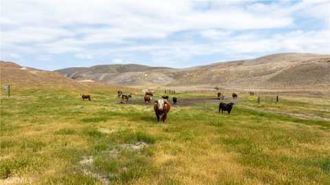 Tiny photo for 8050 Bitterwater Road, Shandon, CA 93461 (MLS # SC25108698)