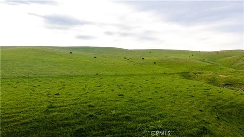 Tiny photo for 8050 Bitterwater Road, Shandon, CA 93461 (MLS # SC25108698)