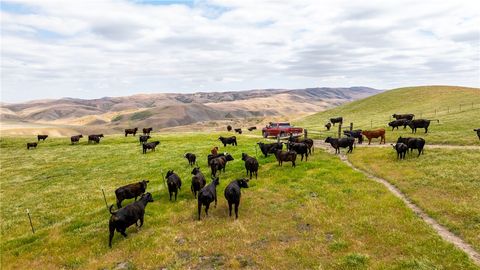 Tiny photo for 8050 Bitterwater Road, Shandon, CA 93461 (MLS # SC25108698)