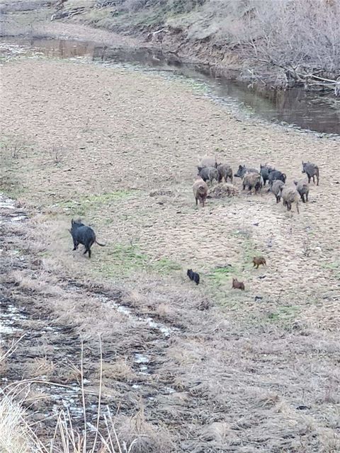 Tiny photo for 8050 Bitterwater Road, Shandon, CA 93461 (MLS # SC25108698)