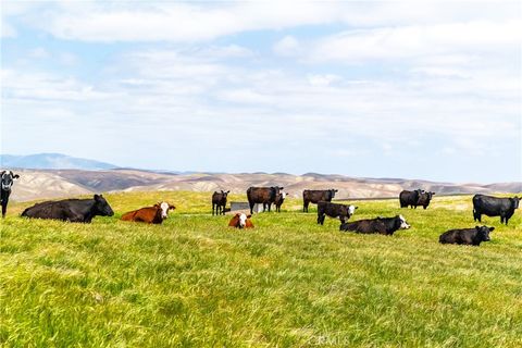 Tiny photo for 8050 Bitterwater Road, Shandon, CA 93461 (MLS # SC25108698)