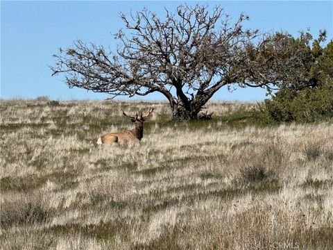 Tiny photo for 8050 Bitterwater Road, Shandon, CA 93461 (MLS # SC25108698)