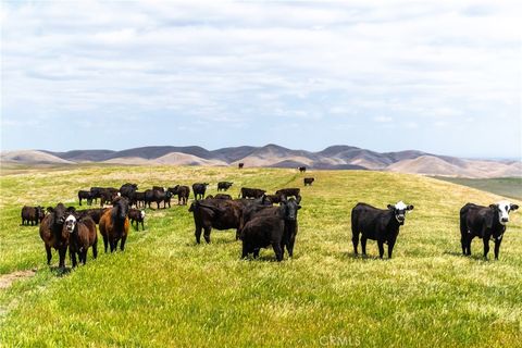 Tiny photo for 8050 Bitterwater Road, Shandon, CA 93461 (MLS # SC25108698)