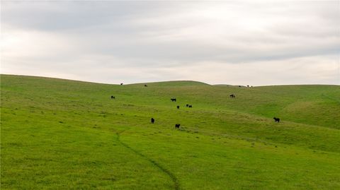 Tiny photo for 8050 Bitterwater Road, Shandon, CA 93461 (MLS # SC25108698)