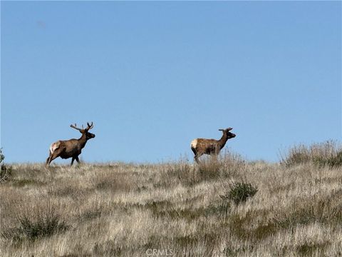 Tiny photo for 8050 Bitterwater Road, Shandon, CA 93461 (MLS # SC25108698)