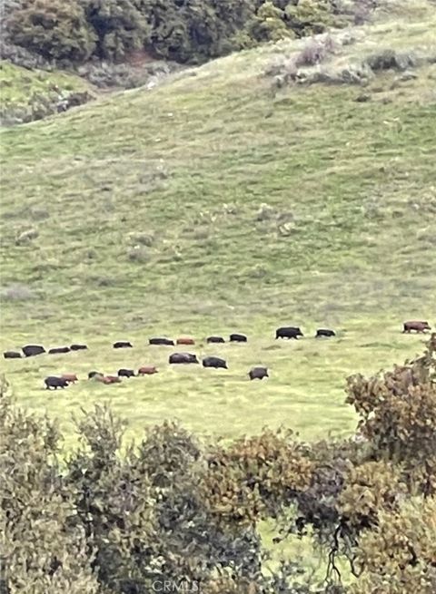 Tiny photo for 8050 Bitterwater Road, Shandon, CA 93461 (MLS # SC25108698)