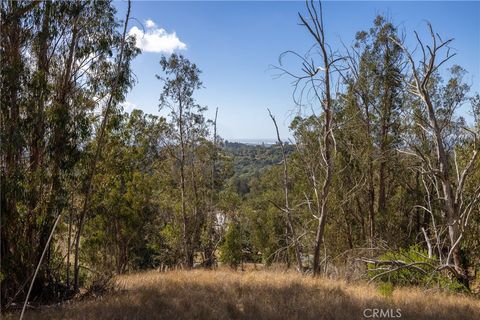Tiny photo for 1375 Sugar Bush Court, Arroyo Grande, CA 93420 (MLS # PI25236499)