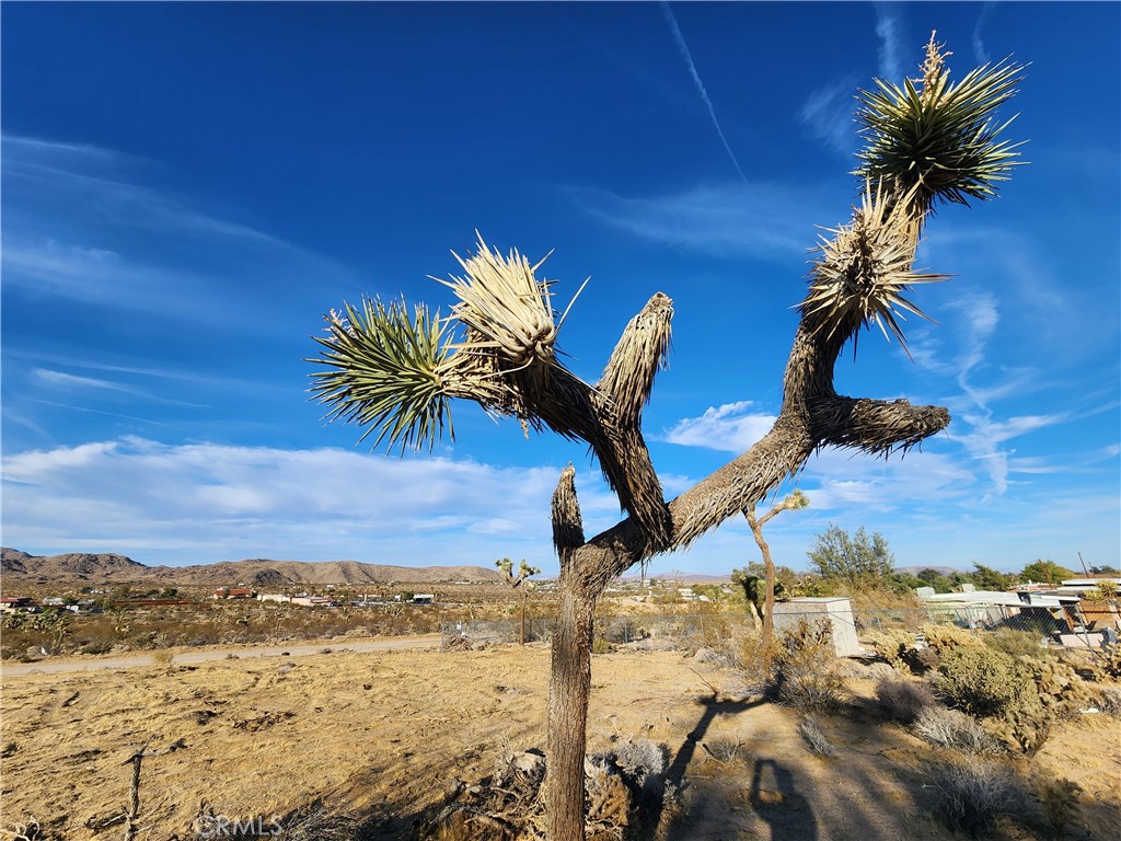 61329 Rocky Vista