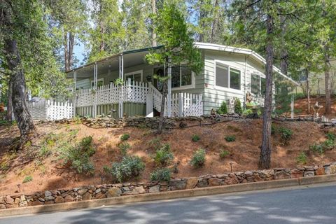 Photo of Irishtown Road, Pine Grove, CA 95665 (MLS # ML82040052)