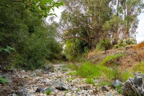 Tiny photo for 1155 Cayucos Creek Road, Cayucos, CA 93430 (MLS # NS25221736)