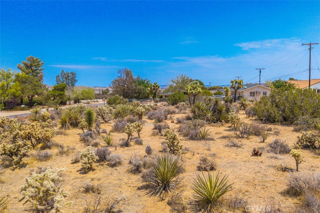 1234 Ivanhoe Drive