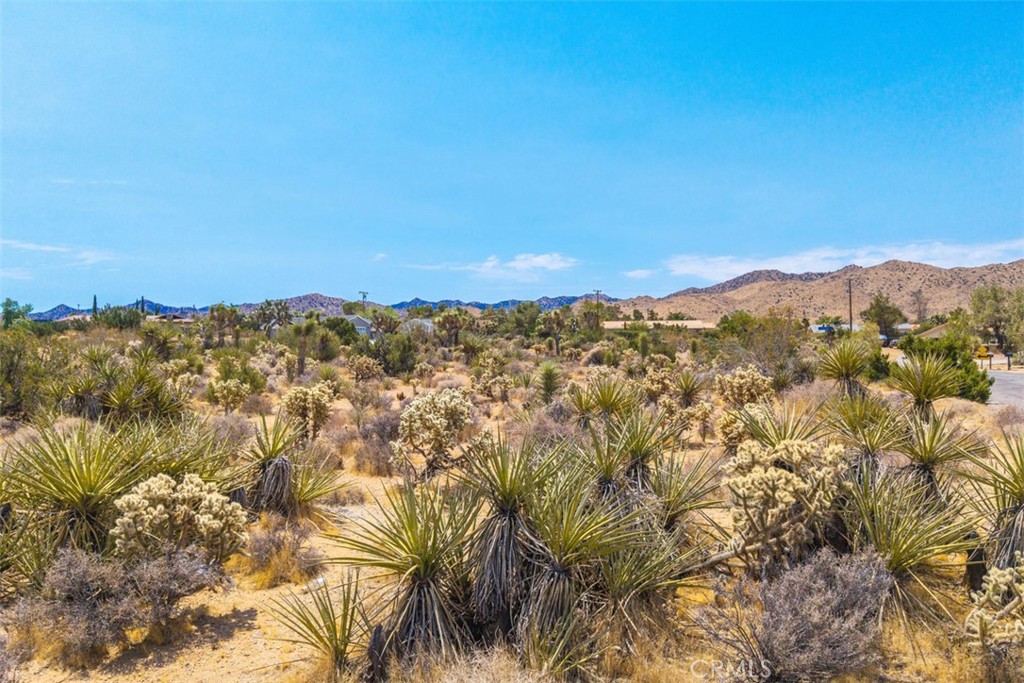 1234 Ivanhoe Drive