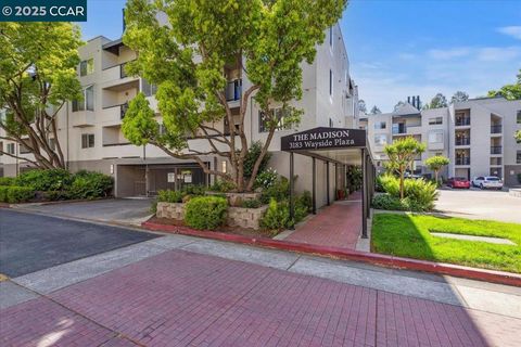 3183 Wayside Plz 320 Walnut Creek CA 94597