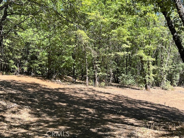 So pretty and private! Seller has put in the septic system and water meter is on with hose spigot to building pad and fenced garden area. Seller with acceptable offer will grant PGE paper easement from his place next door. Mostly flat, lovely tree's. Ready for you.