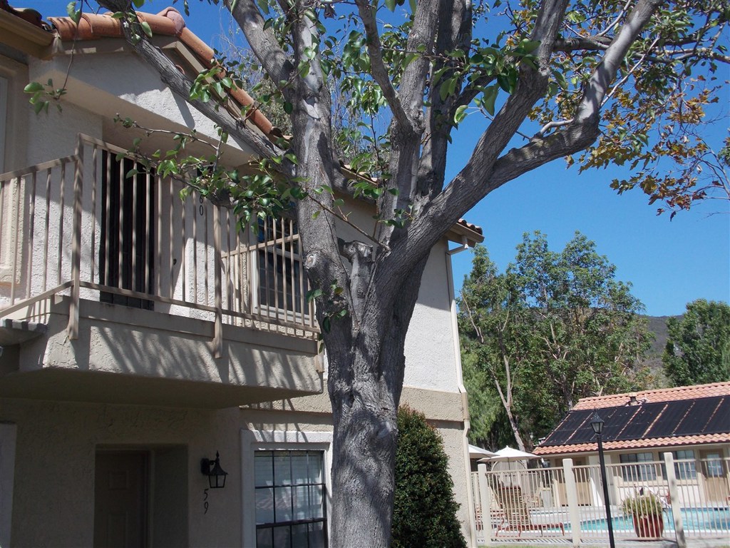 Highly upgraded 2 Bedroom 2 Full Baths condo in Rancho Penasquitos for rent. Beautiful wood flooring throughout, granite counter tops in kitchen with stainless steel appliances. Plenty of closet space. Located adjacent to the pool with a patio overlooking the pool and the Gym. Very close to highway 15 and shopping center. Great schools (renowned Poway Unified School District). Come make this your new home. Neighborhoods: Rancho Penasquitos Complex Features: ,,