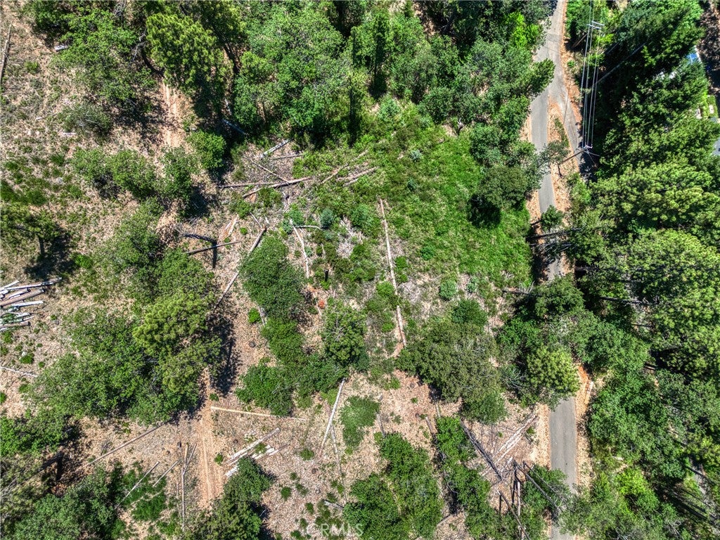 12548 Observation Road