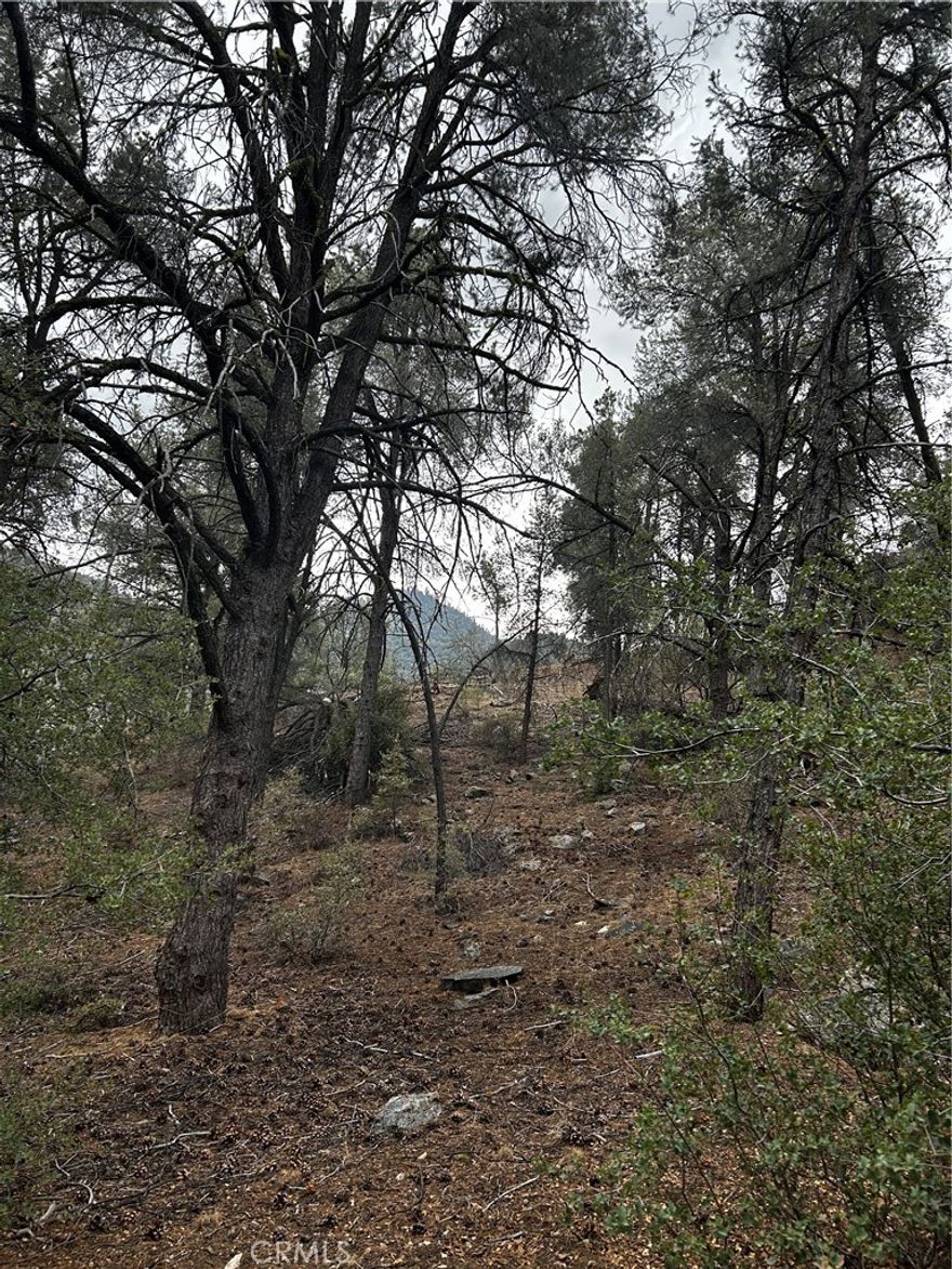 Looking to build on a lot with absolutely amazing views. Look no further. This well treed lot has the feeling of true privacy. If you have to drive off the hill, this location will
afford you an easy commute. Don't wait, this lot won't last.