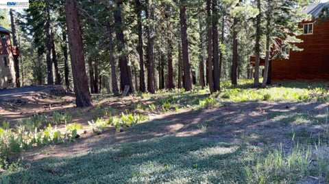 Photo of 14358 Hansel Ave AVE, Truckee, CA 96161 (MLS # 41146133)