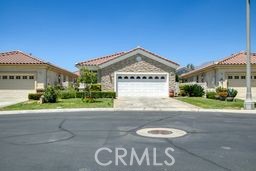 1164 blackbrush