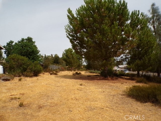 10265 Fairway Drive