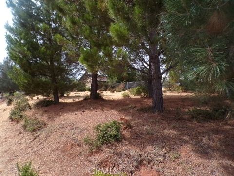 Photo of 10265 Fairway Drive, Kelseyville, CA 95451 (MLS # LC26058257)