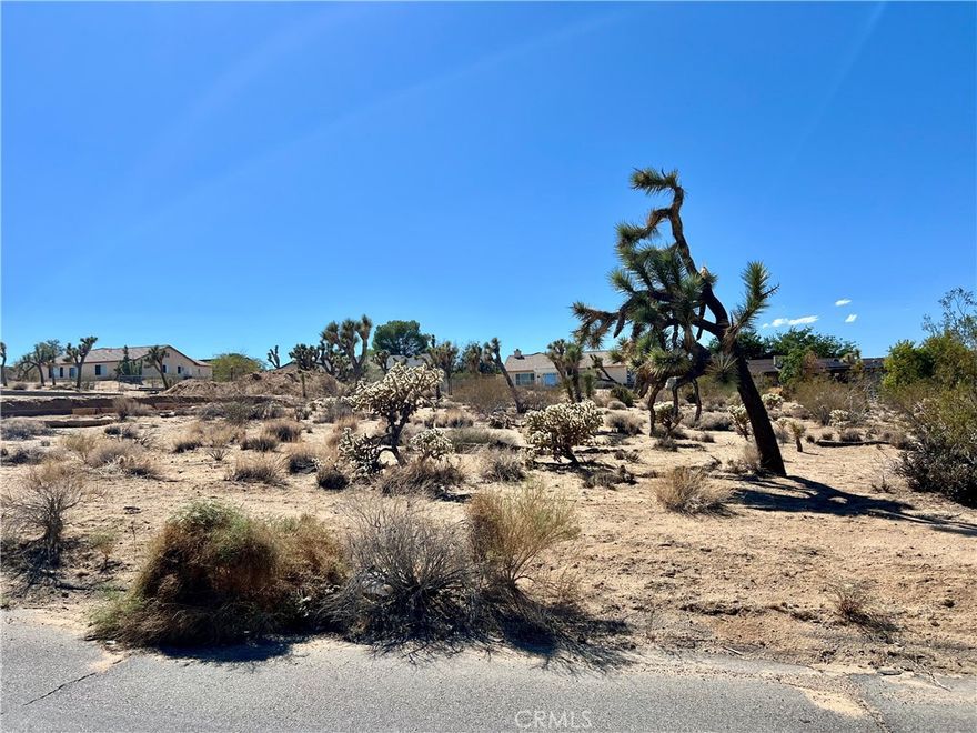 Presenting not just a vacant lot, but a beautiful- LAND OF OPPORTUNITY. This stunning 18,500sf - .42-acre parcel offers the perfect blend of serene desert escape and convenient access, boasting breathtaking panoramic views of the iconic valley and rugged mountains while being just minutes from the vibrant downtown and the gates of Joshua Tree National Park. This rare offering provides endless possibilities to build your personal dream home, a lucrative Airbnb retreat, or a weekend sanctuary, all on a massive, private lot. This is more than land—it's a foundation for your future, a guaranteed path to ownership, and the most compelling canvas for your vision you will find in Joshua Tree. Your dream home awaits, and it starts here.