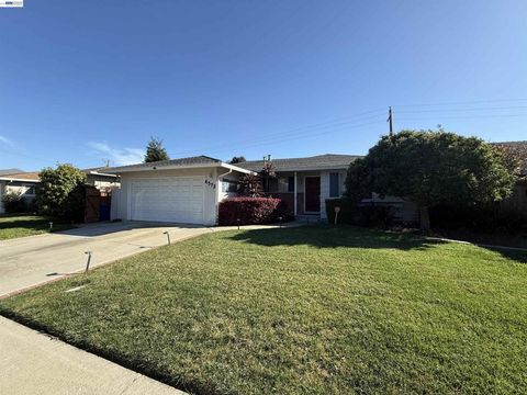 Photo of 4572 Theresa Ave, Fremont, CA 94538 (MLS # 41129034)