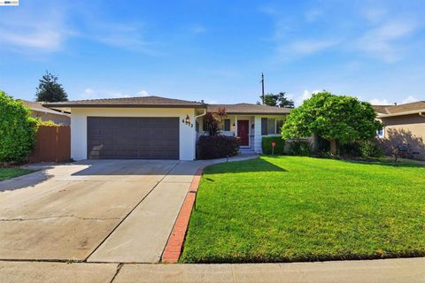 Photo of 4572 Theresa Ave, Fremont, CA 94538 (MLS # 41129034)