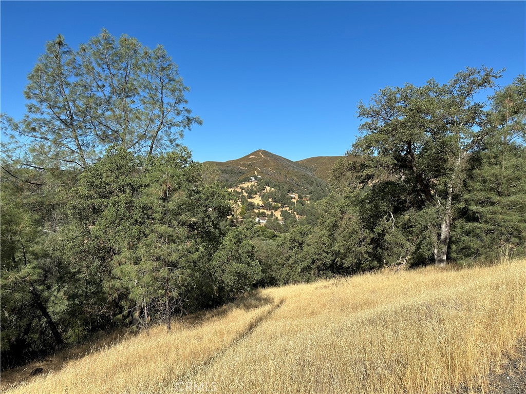 Scenic Lot in the Spring Valley Community. Build a home in a community that offers camping, horse trails and a community center.