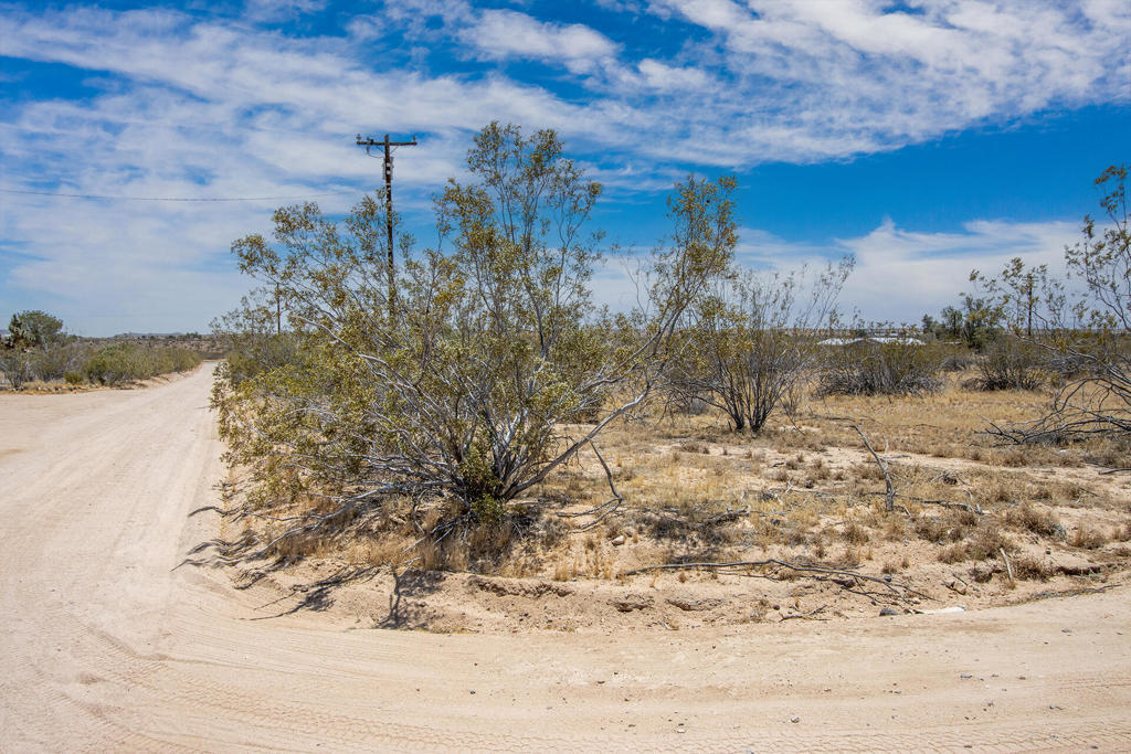 56045 Vin Rose Lane