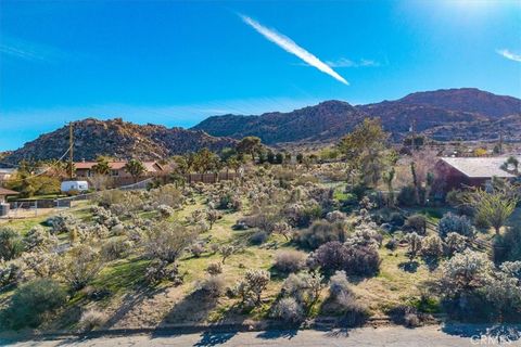Photo of 61017 Navajo Trail, Joshua Tree, CA 92252 (MLS # JT26012886)
