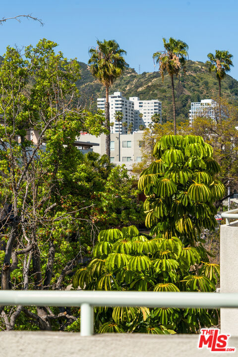 1310 N Detroit Street 401