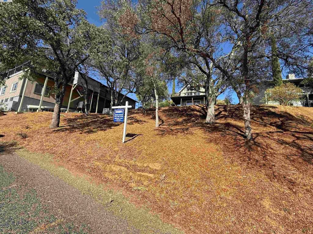 490 Bret Harte Dr