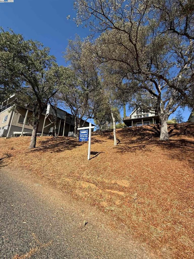 490 Bret Harte Dr