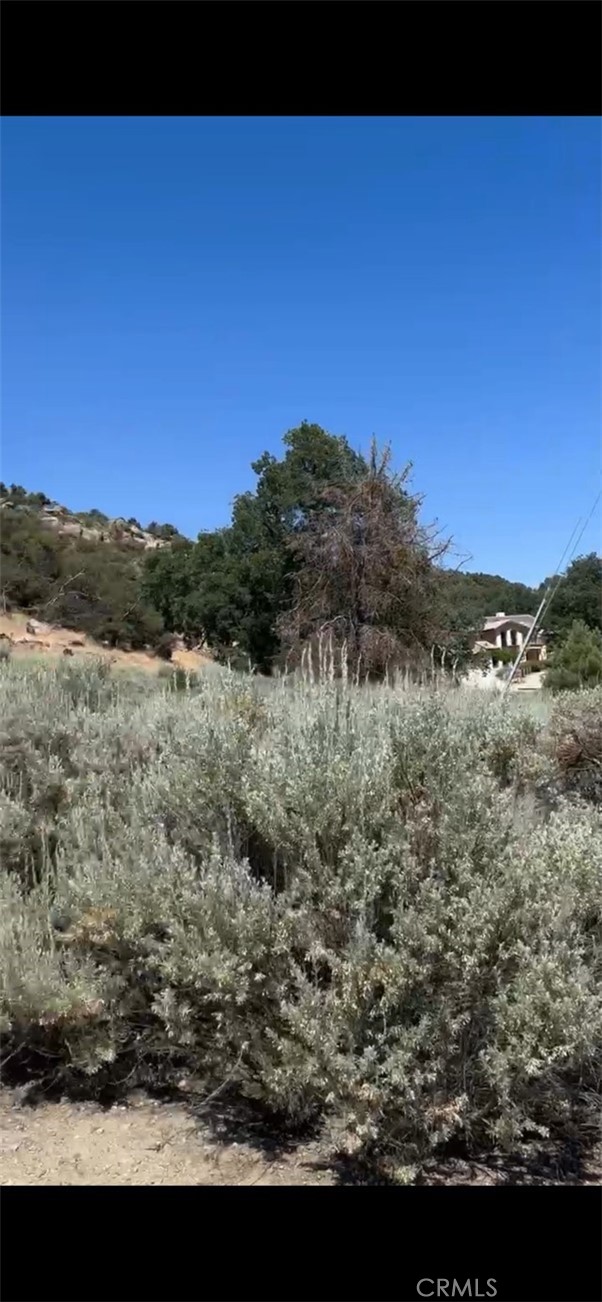 24151 Jacaranda Drive