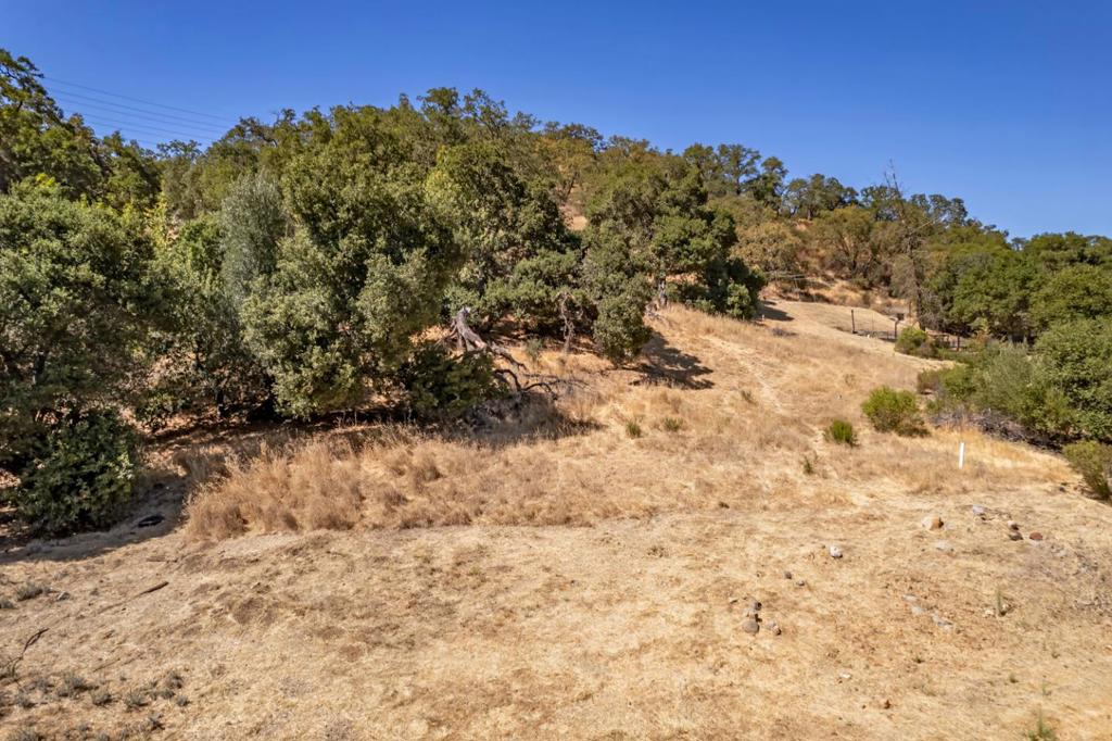 Here is your perfect opportunity to build a custom home and ADU if desired. Site approval was obtained. Engineering, Geological, Architectural, Geotechnical Investigation and Grading Plans are approved. Water and Power in the street and vicinity. Septic is the disposal system to be used. This property backs up to the 600+/- acres of Open space. It is a one of a kind property and the heavy lifting has been done by the owner. They have owned it for many years and it is time for them to move on. Note that the lot is almost directly across from the small antiquated post office and just before the Museum.